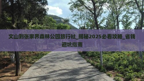 文山到张家界森林公园旅行社