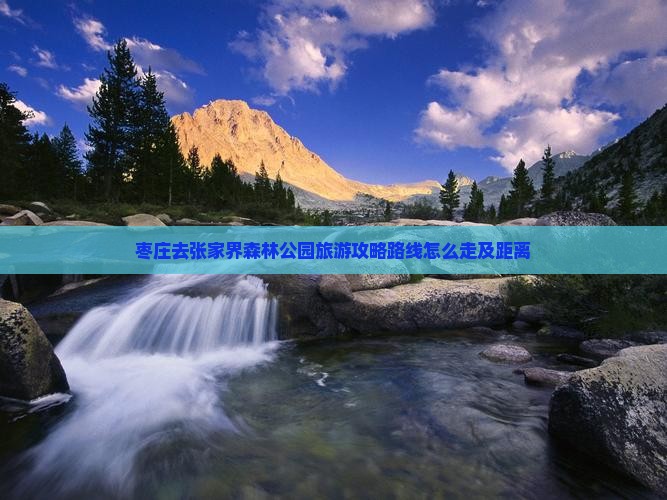 枣庄去张家界森林公园旅游