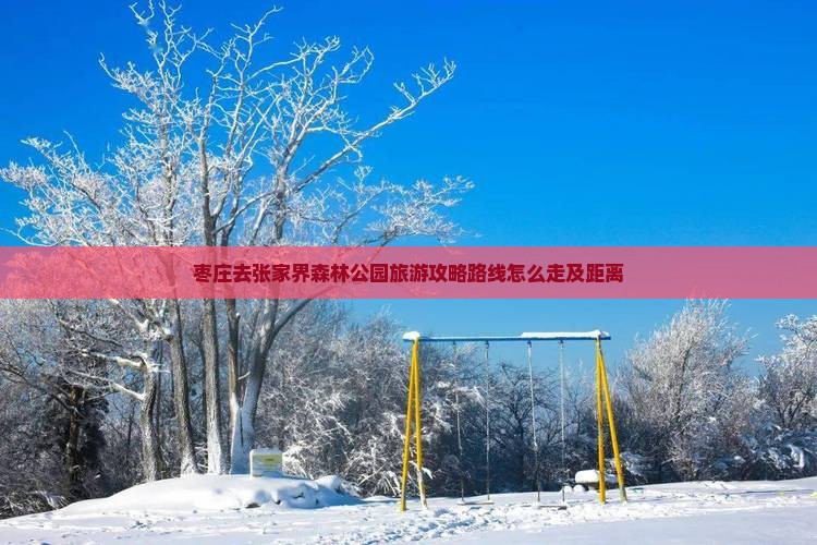 枣庄去张家界森林公园旅游