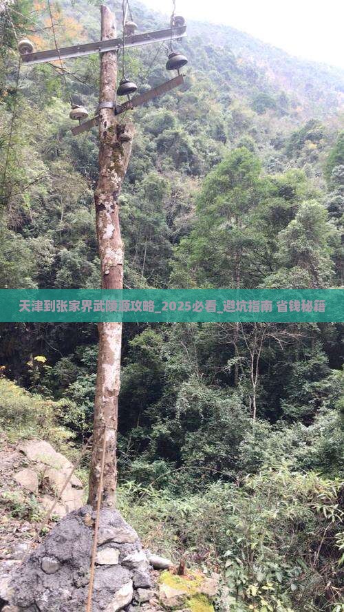 天津到张家界武陵源攻略