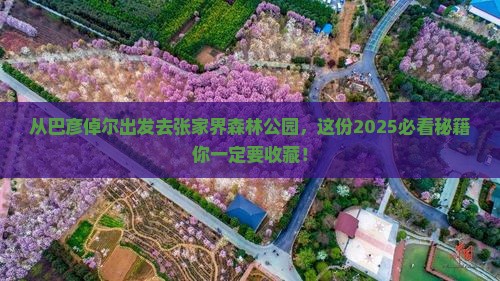 巴彦倬尔去张家界森林公园哪里玩