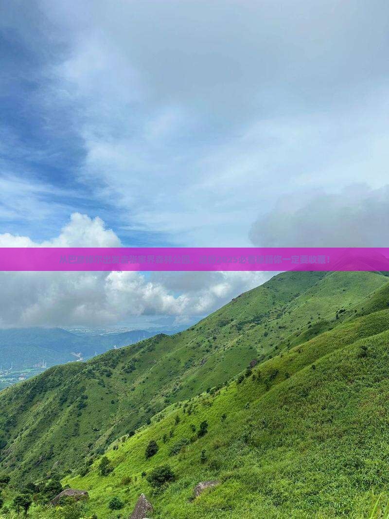 巴彦倬尔去张家界森林公园哪里玩