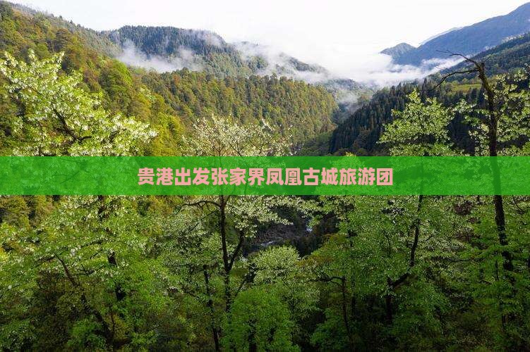 贵港去张家界凤凰古城自由团