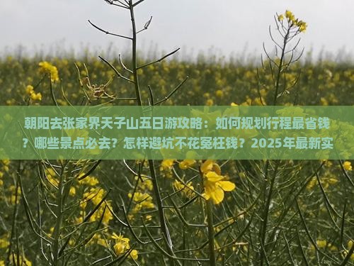 朝阳去张家界天子山五日游