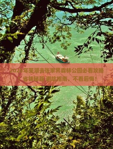 芜湖去张家界森林公园旅行社