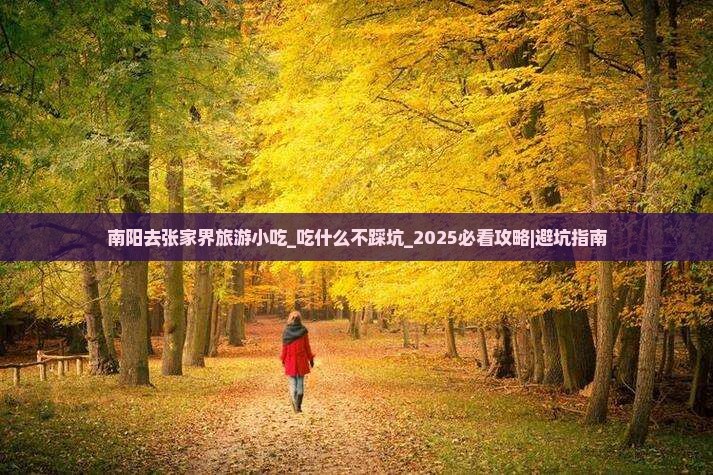 南阳去张家界旅游小吃