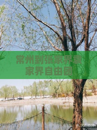 常州到张家界袁家界自由团