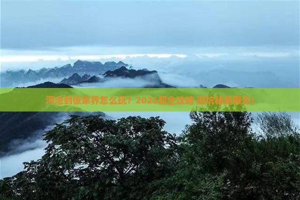 河池到张家界旅行社 河池到张家界旅行社