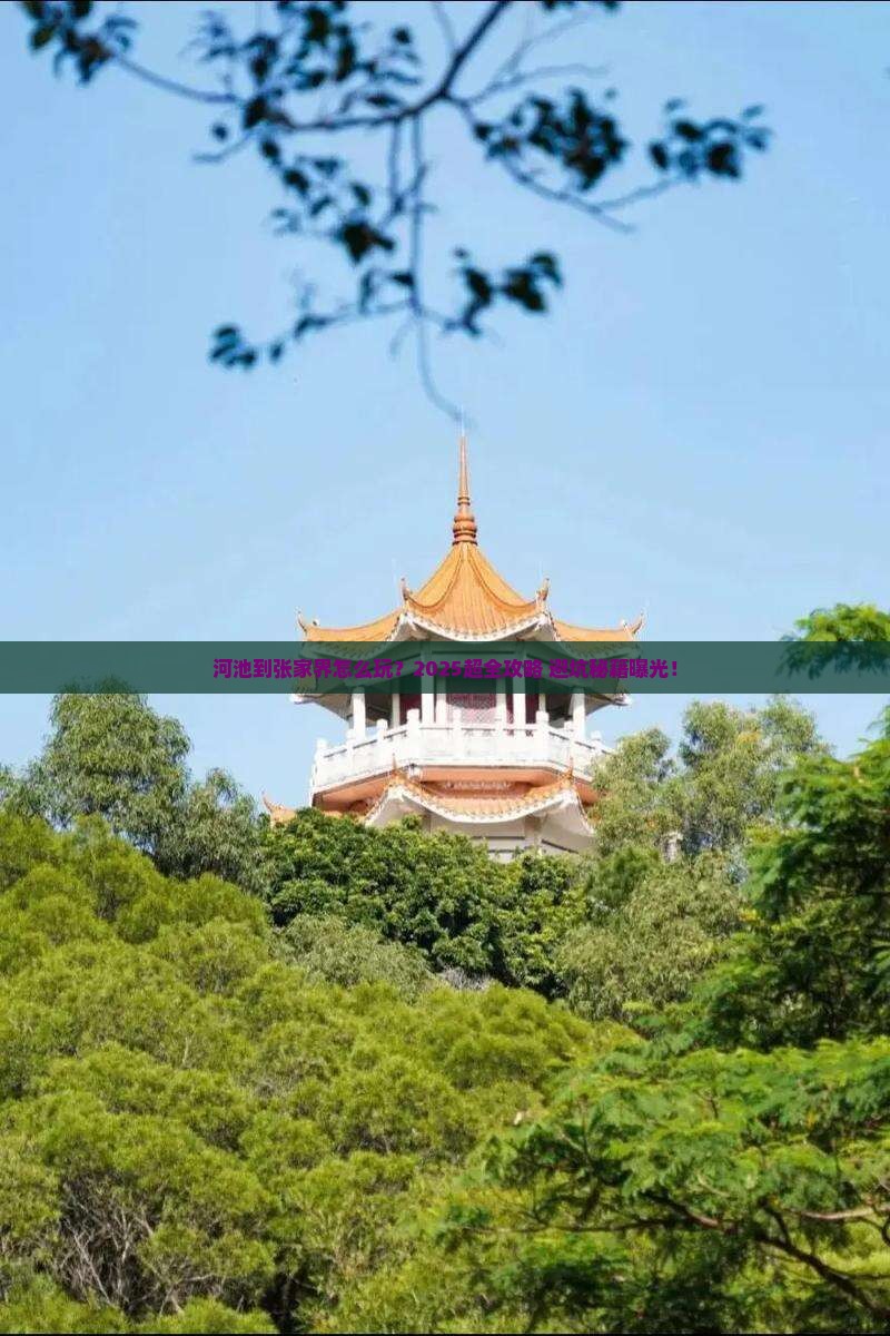 河池到张家界旅行社 河池到张家界旅行社