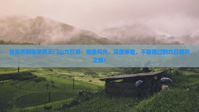 张家界到张家界天门山六日游