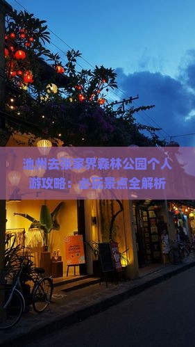 池州去张家界森林公园个人游