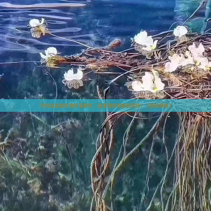 巴中去张家界袁家界团体旅游