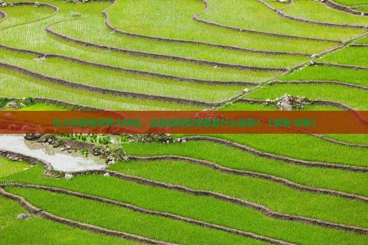 大同到张家界大峡谷必去地