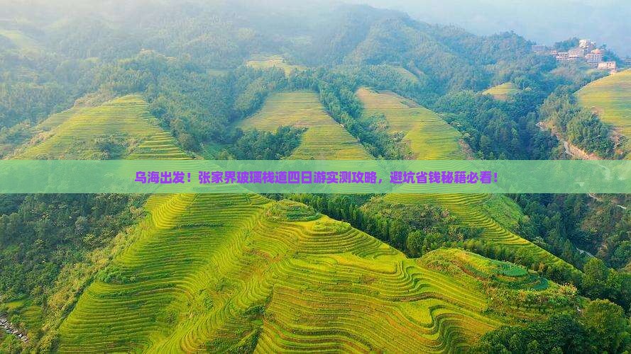 乌海到张家界玻璃栈道四日游