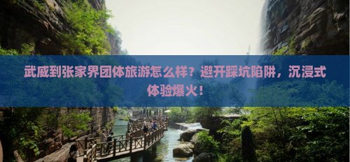 武威到张家界团体旅游