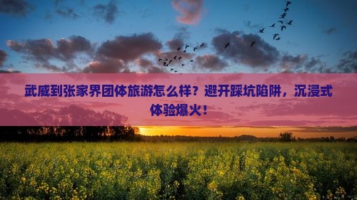 武威到张家界团体旅游