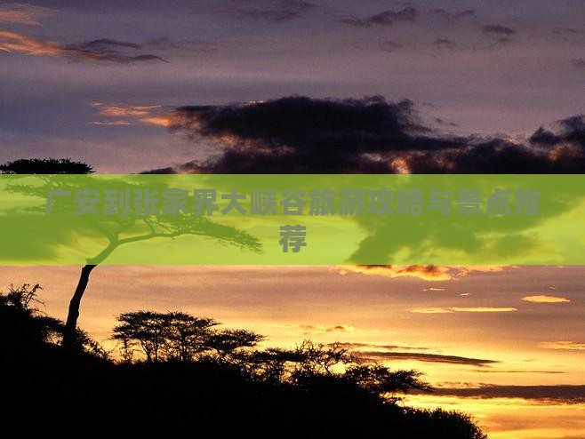 广安到张家界大峡谷自由团