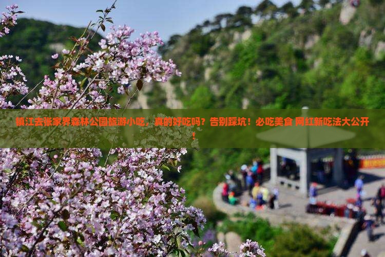 镇江去张家界森林公园旅游小吃