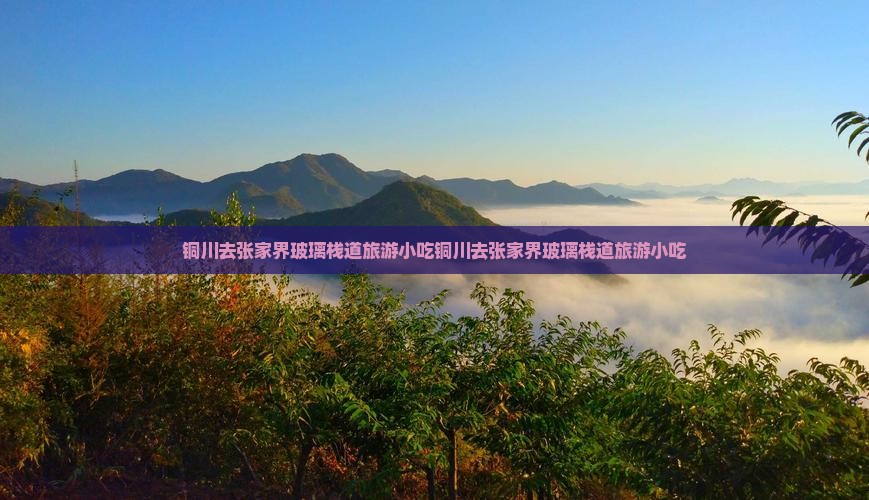 铜川去张家界玻璃栈道旅游小吃