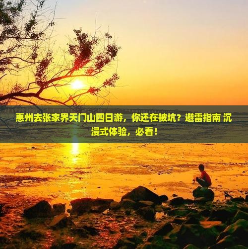 惠州去张家界天门山四日游 惠州去张家界天门山四日游