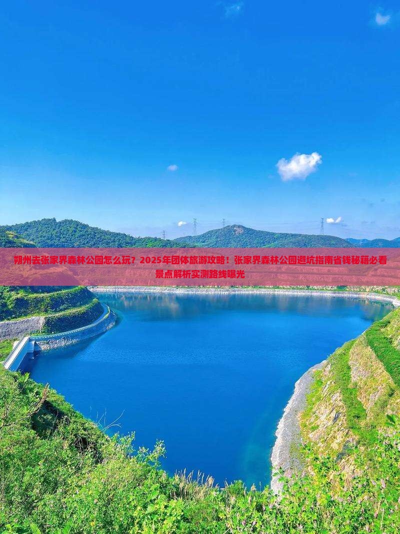 朔州去张家界森林公园团体旅游