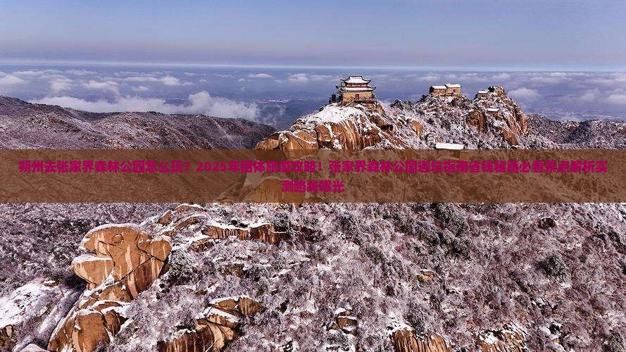 朔州去张家界森林公园团体旅游