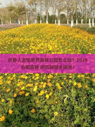 长春去张家界森林公园哪里玩