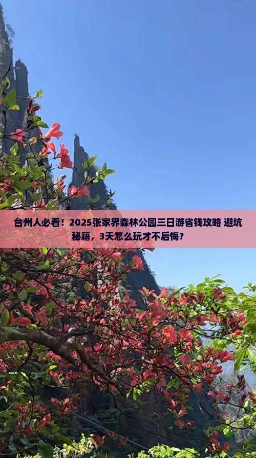 台州去张家界森林公园三日游