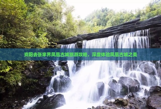 资阳去张家界凤凰古城景点