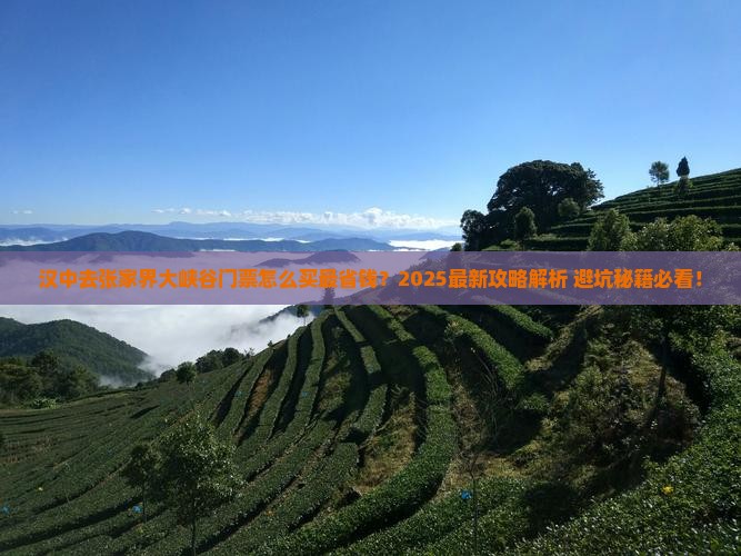 汉中去张家界大峡谷门票