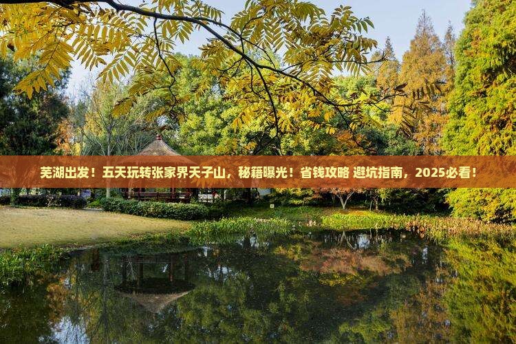 芜湖到张家界天子山五日游