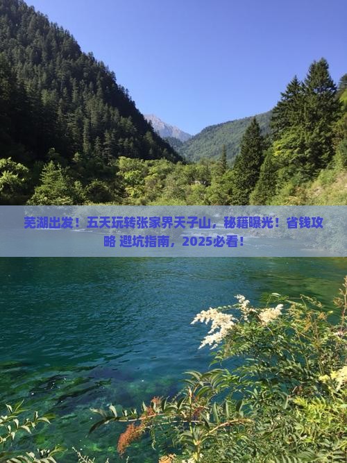 芜湖到张家界天子山五日游