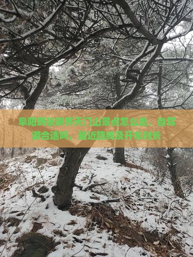 阜阳到张家界天门山景点