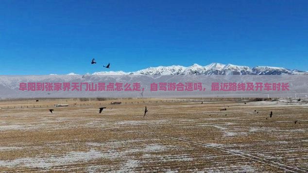 阜阳到张家界天门山景点