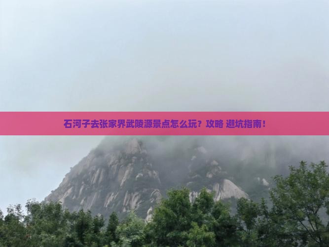 石河子去张家界武陵源景点