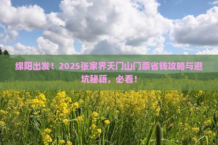 绵阳去张家界天门山门票