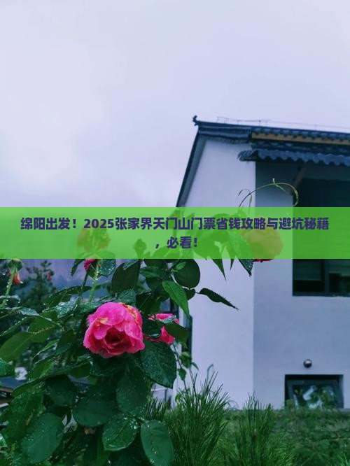 绵阳去张家界天门山门票