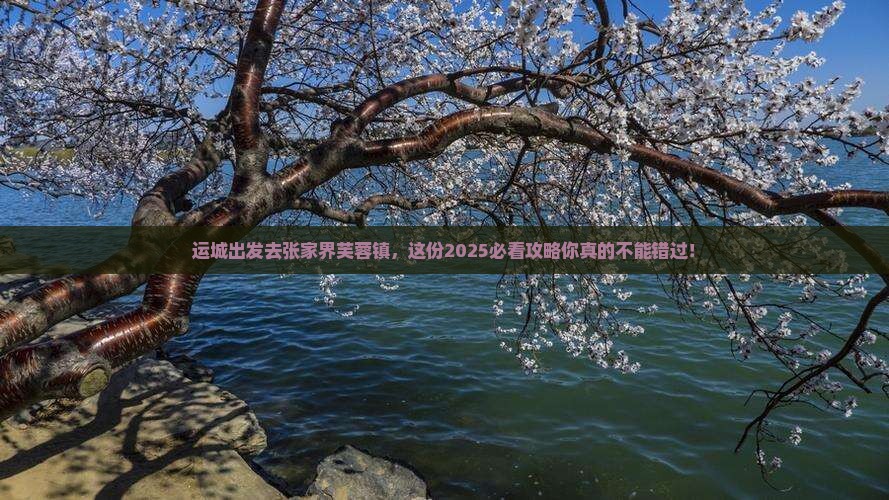 运城去张家界芙蓉镇必去地