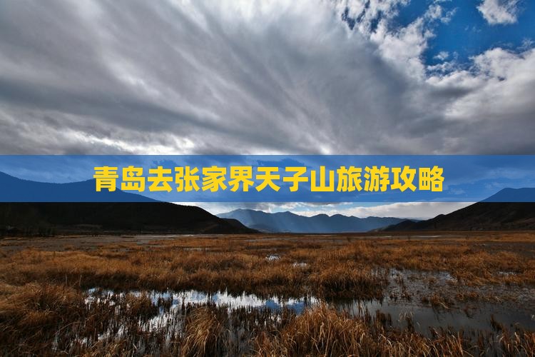 青岛去张家界天子山旅游