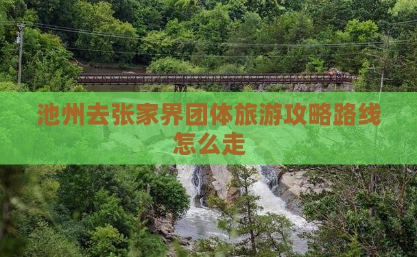 池州去张家界团体旅游