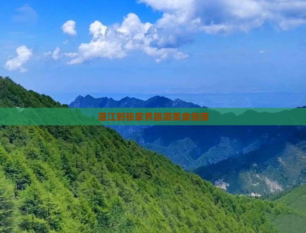 湛江到张家界旅游小吃