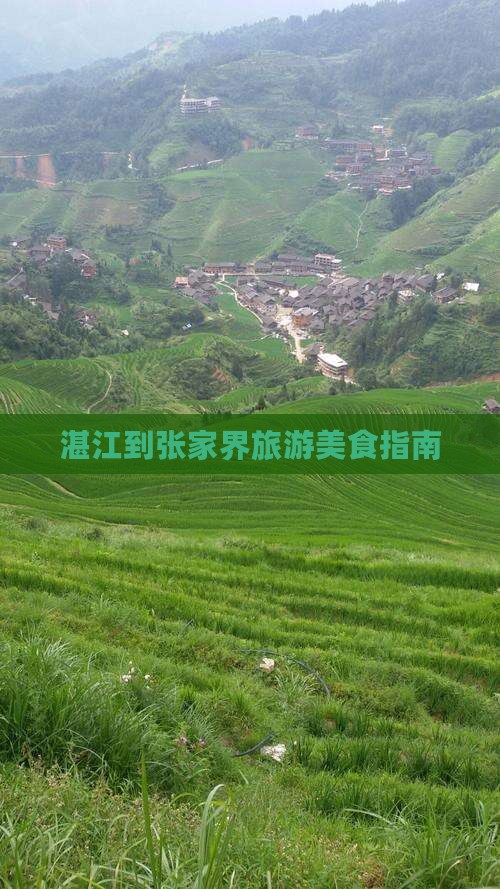 湛江到张家界旅游小吃