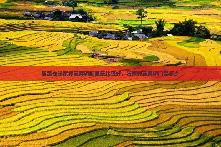 襄樊去张家界芙蓉镇哪里玩