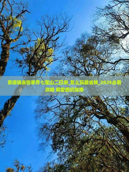 景德镇去张家界七星山二日游