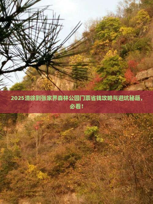 清徐到张家界森林公园门票 清徐到张家界森林公园门票