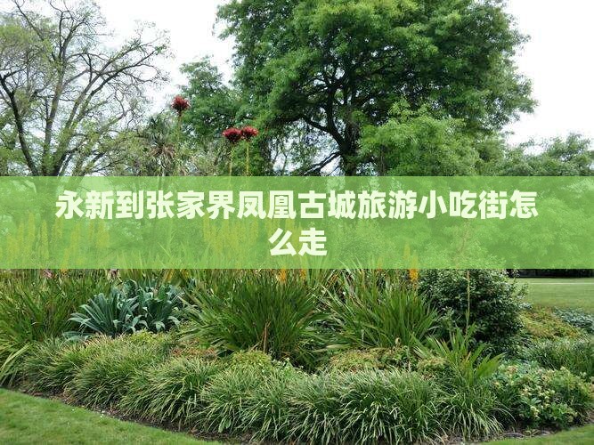 永新到张家界凤凰古城旅游小吃