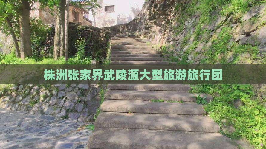 株洲去张家界武陵源大型旅游团