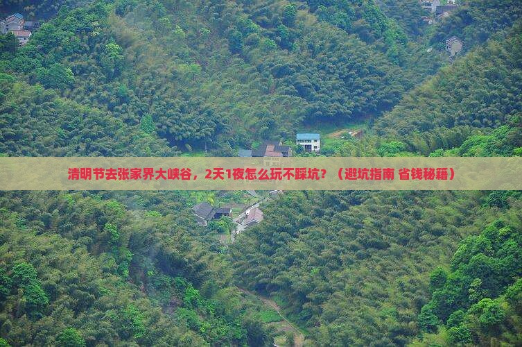 清明节到张家界大峡谷旅游
