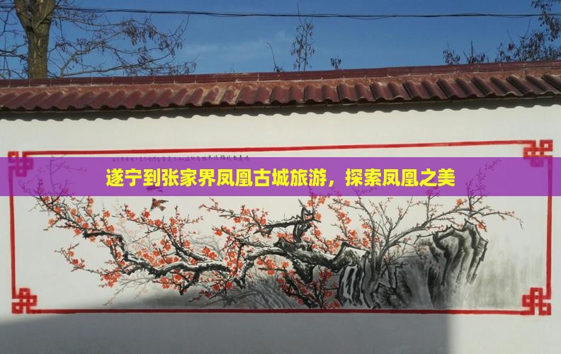 遂宁到张家界凤凰古城旅行社