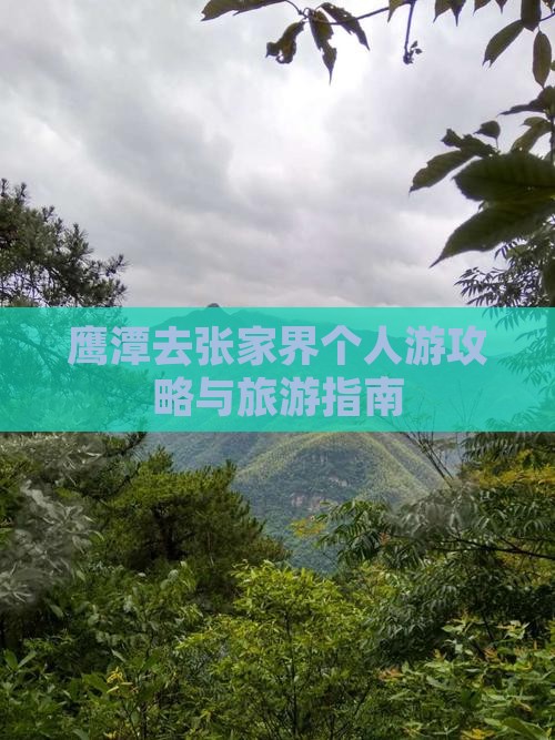 鹰潭去张家界个人游
